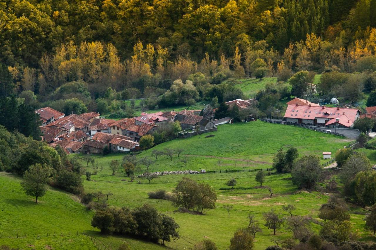 Apartamentos Los Picos De Europa Colio Dış mekan fotoğraf