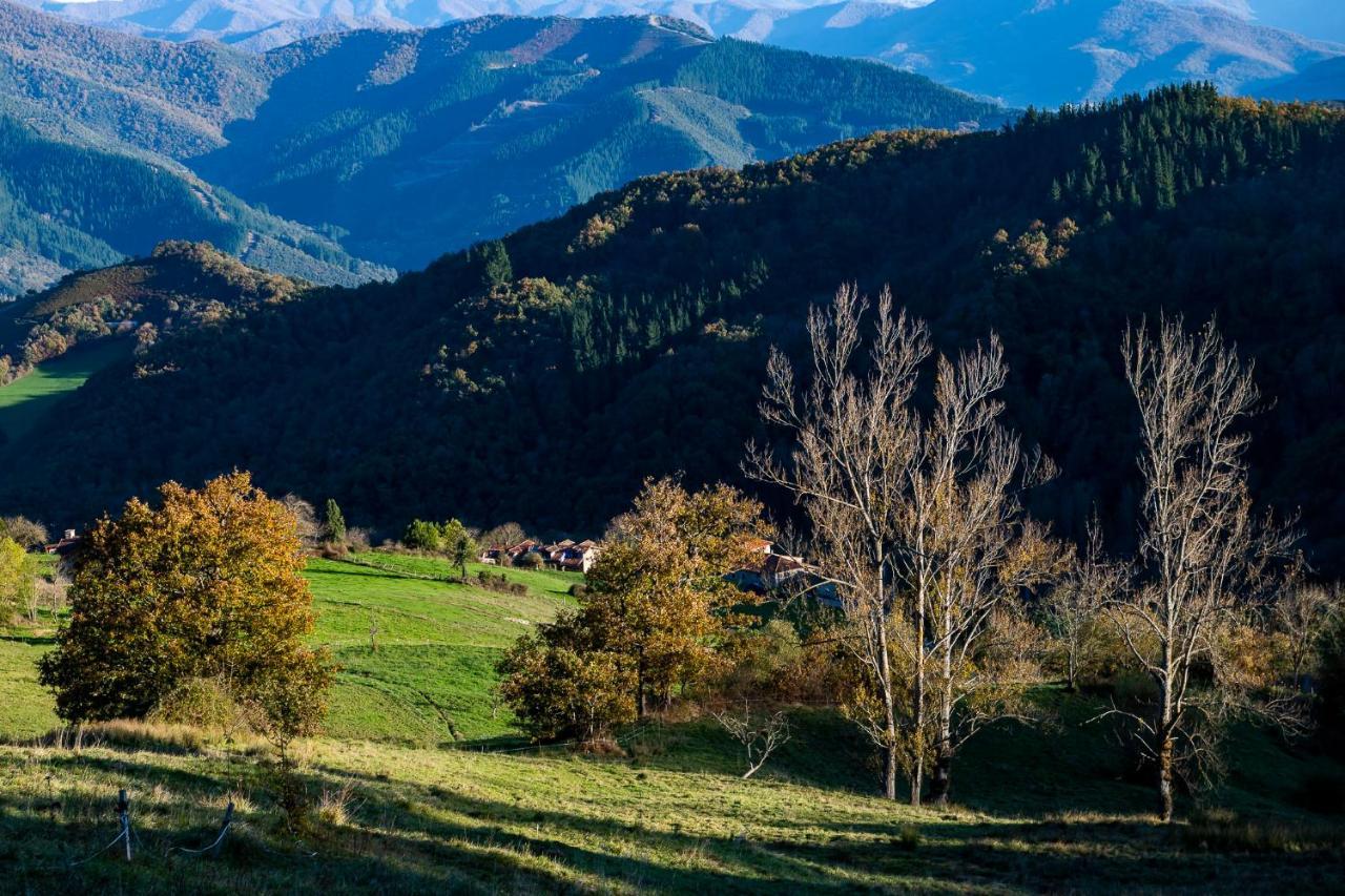 Apartamentos Los Picos De Europa Colio Dış mekan fotoğraf