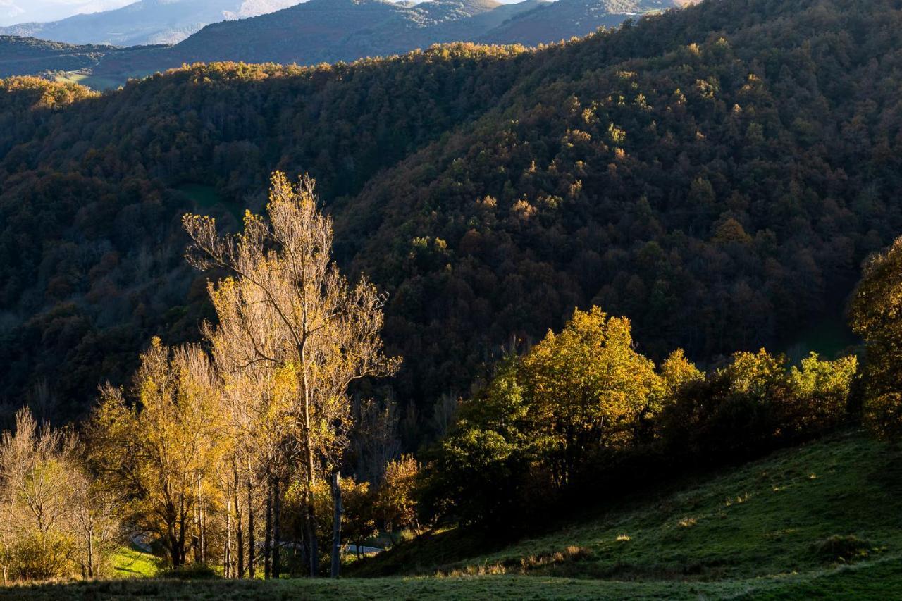 Apartamentos Los Picos De Europa Colio Dış mekan fotoğraf