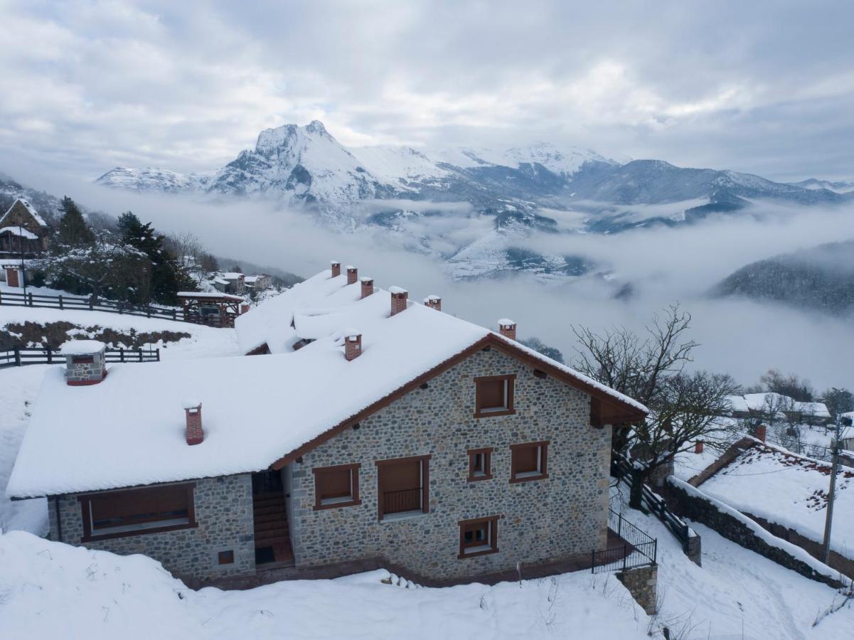 Apartamentos Los Picos De Europa Colio Dış mekan fotoğraf